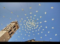 アッシジの教会と鳥たち