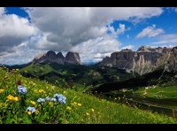 italy-mountains-and-flowers_